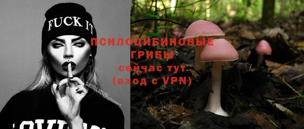 спиды Алексеевка