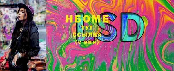 прущие грибы Абинск