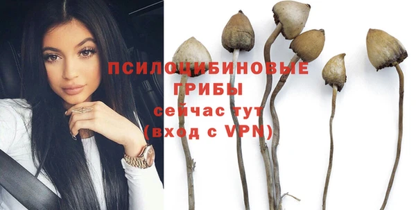 МДПВ Абаза