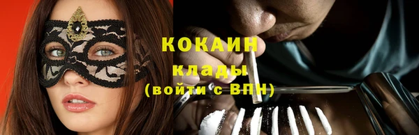 прущие грибы Абинск
