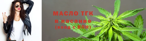 прущие грибы Абинск