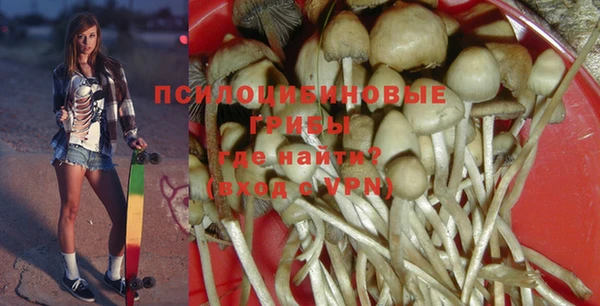 МДПВ Абаза