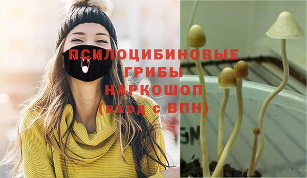 мескалин Алексин