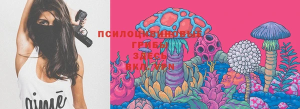 спиды Алексеевка