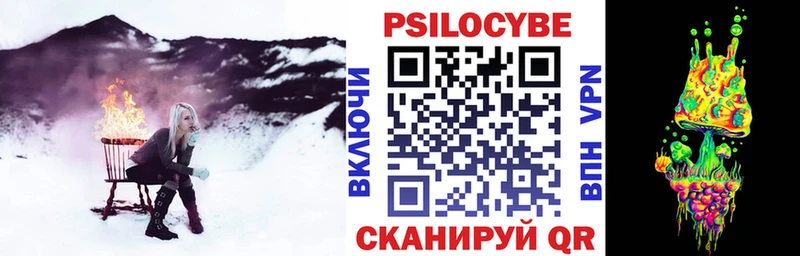 дарк нет формула  Кемь  Галлюциногенные грибы Psilocybe 